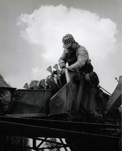 Sawmill-2